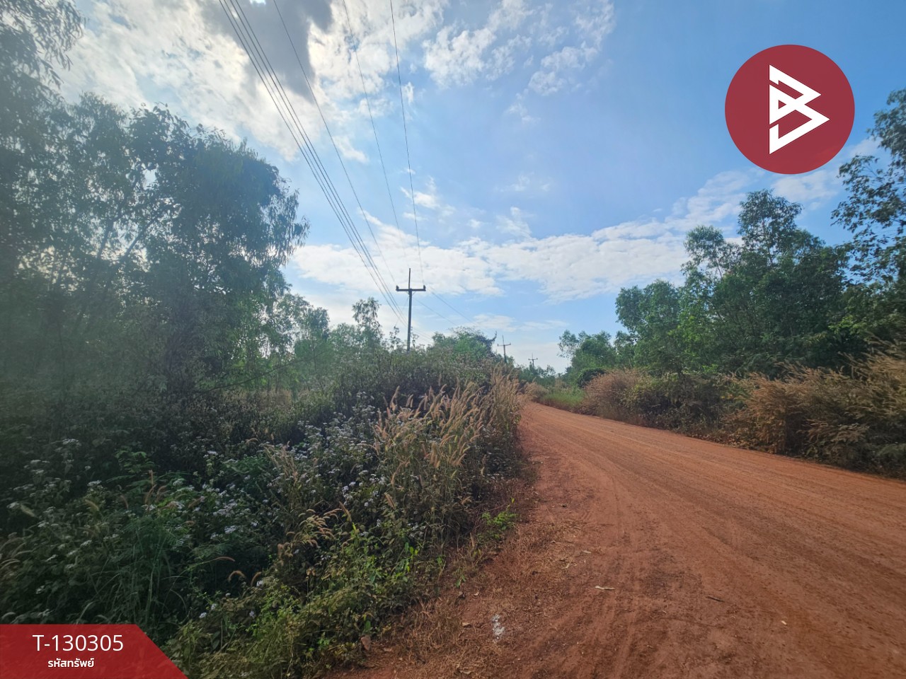 ขายที่ดิน เนื้อที่ 45 ไร่ 2 งาน 47 ตร.วา ขาณุวรลักษบุรี กำแพงเพชร 4