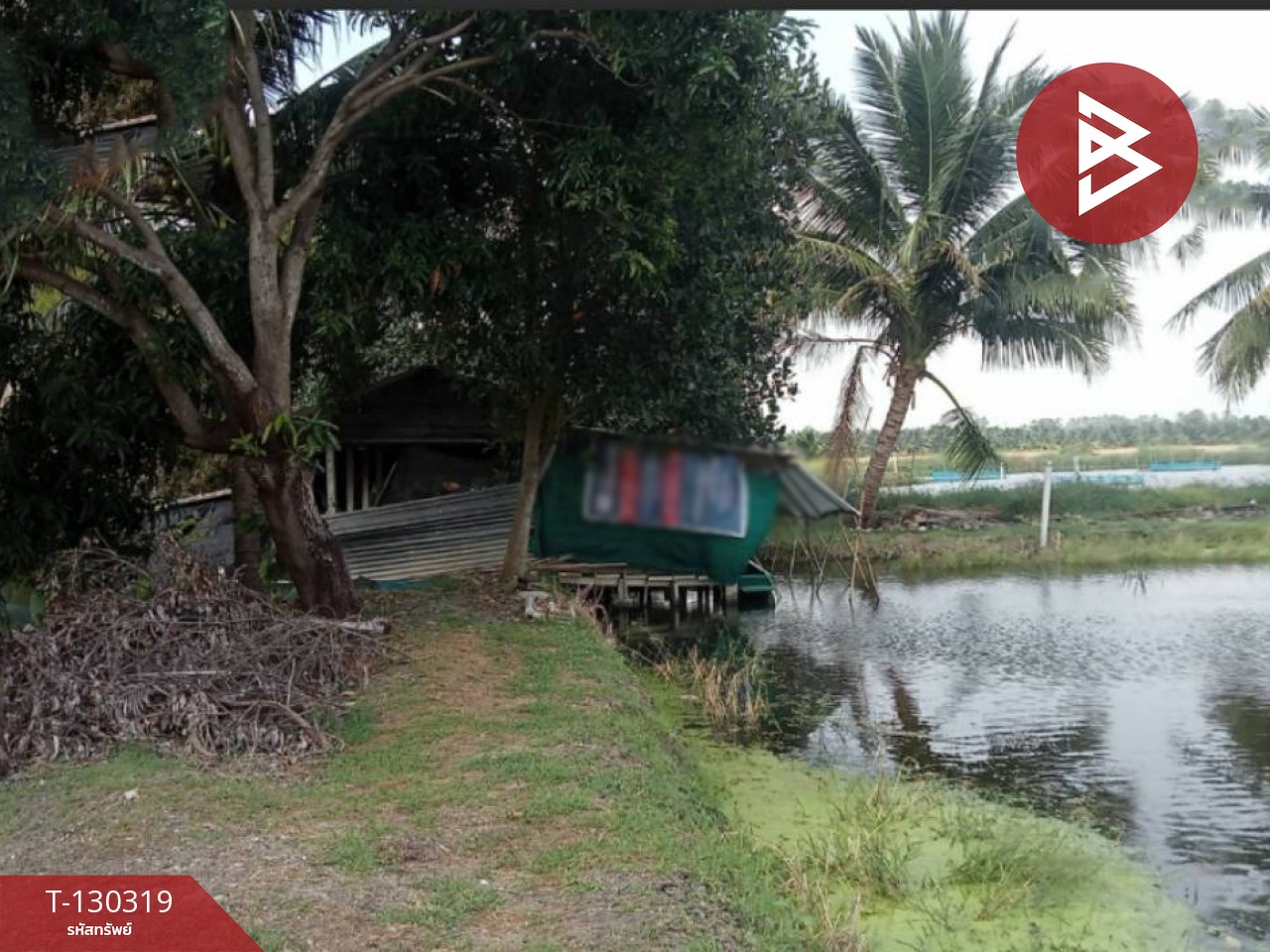 ขายที่ดิน เนื้อที่ 17 ไร่ 40 ตร.วา อัมพวา สมุทรสงคราม 2