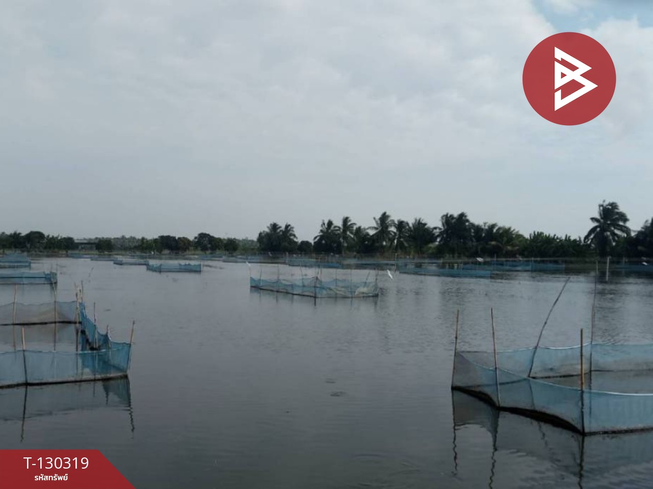 ขายที่ดิน เนื้อที่ 17 ไร่ 40 ตร.วา อัมพวา สมุทรสงคราม 4