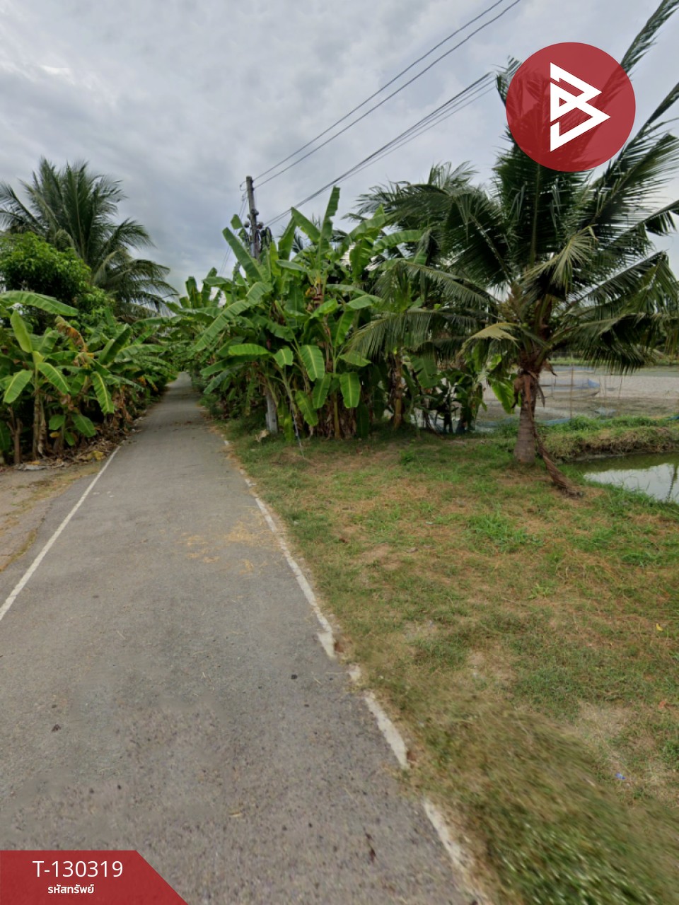 ขายที่ดิน เนื้อที่ 17 ไร่ 40 ตร.วา อัมพวา สมุทรสงคราม 7