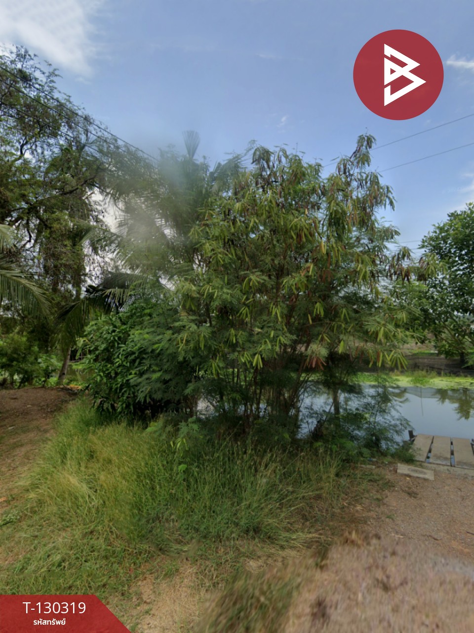 ขายที่ดิน เนื้อที่ 17 ไร่ 40 ตร.วา อัมพวา สมุทรสงคราม 1