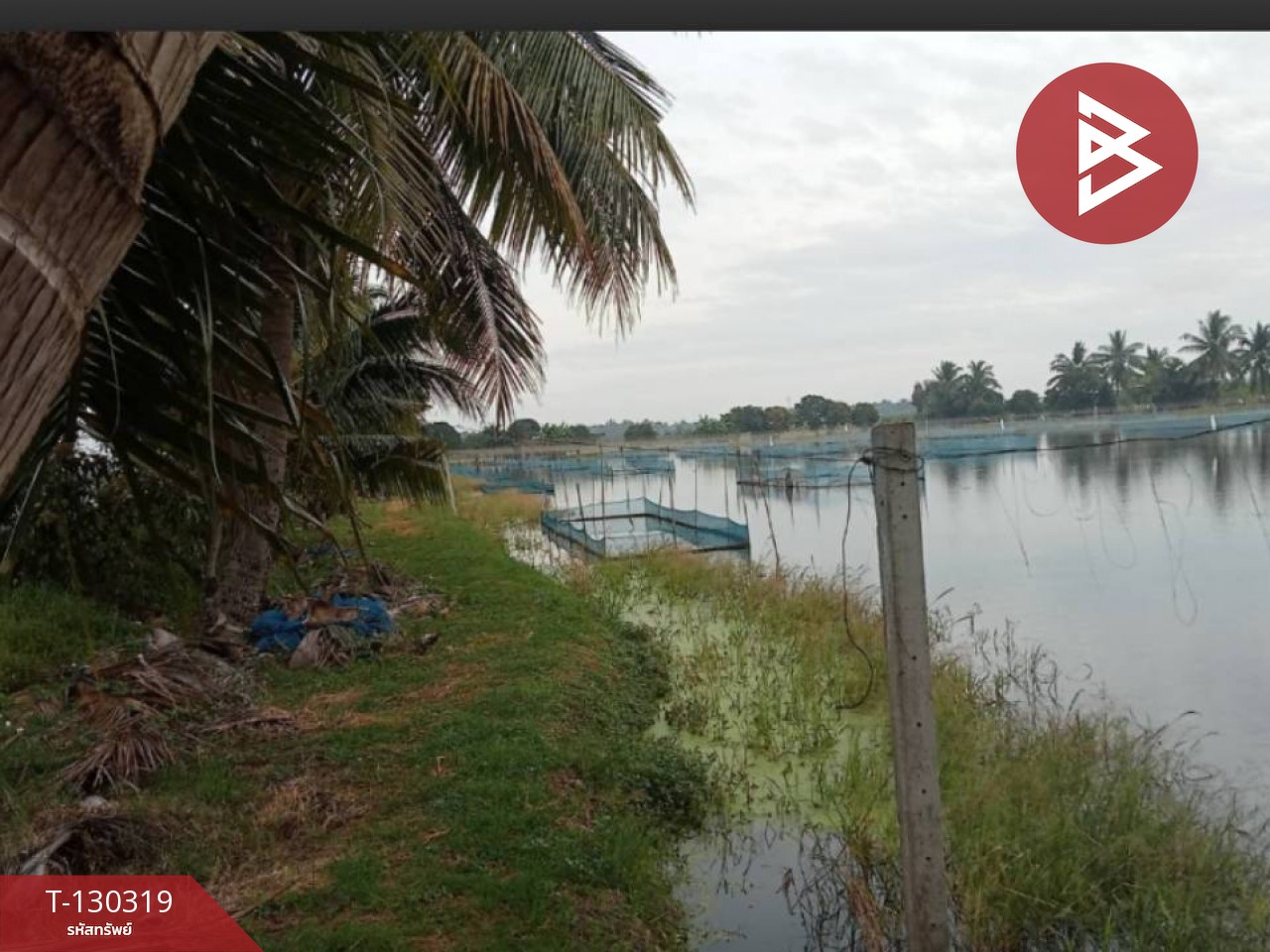 ขายที่ดิน เนื้อที่ 17 ไร่ 40 ตร.วา อัมพวา สมุทรสงคราม 3