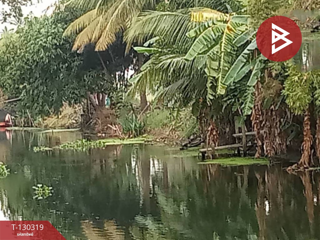 ขายที่ดิน เนื้อที่ 17 ไร่ 40 ตร.วา อัมพวา สมุทรสงคราม 5