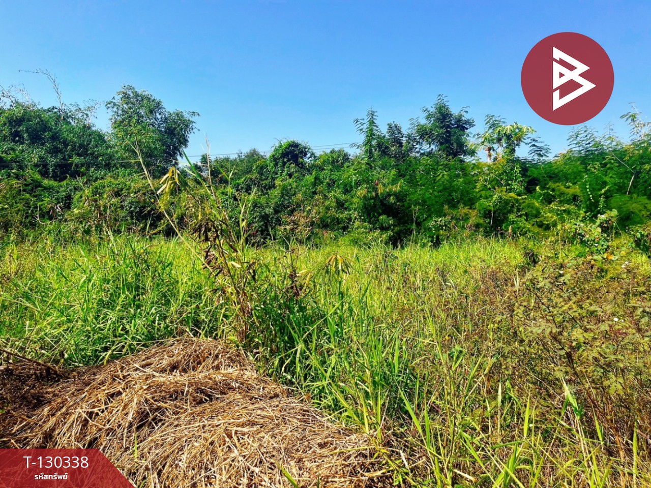 ขายที่ดิน เนื้อที่ 1 ไร่ 48 ตร.วา บางปลาม้า สุพรรณบุรี 4