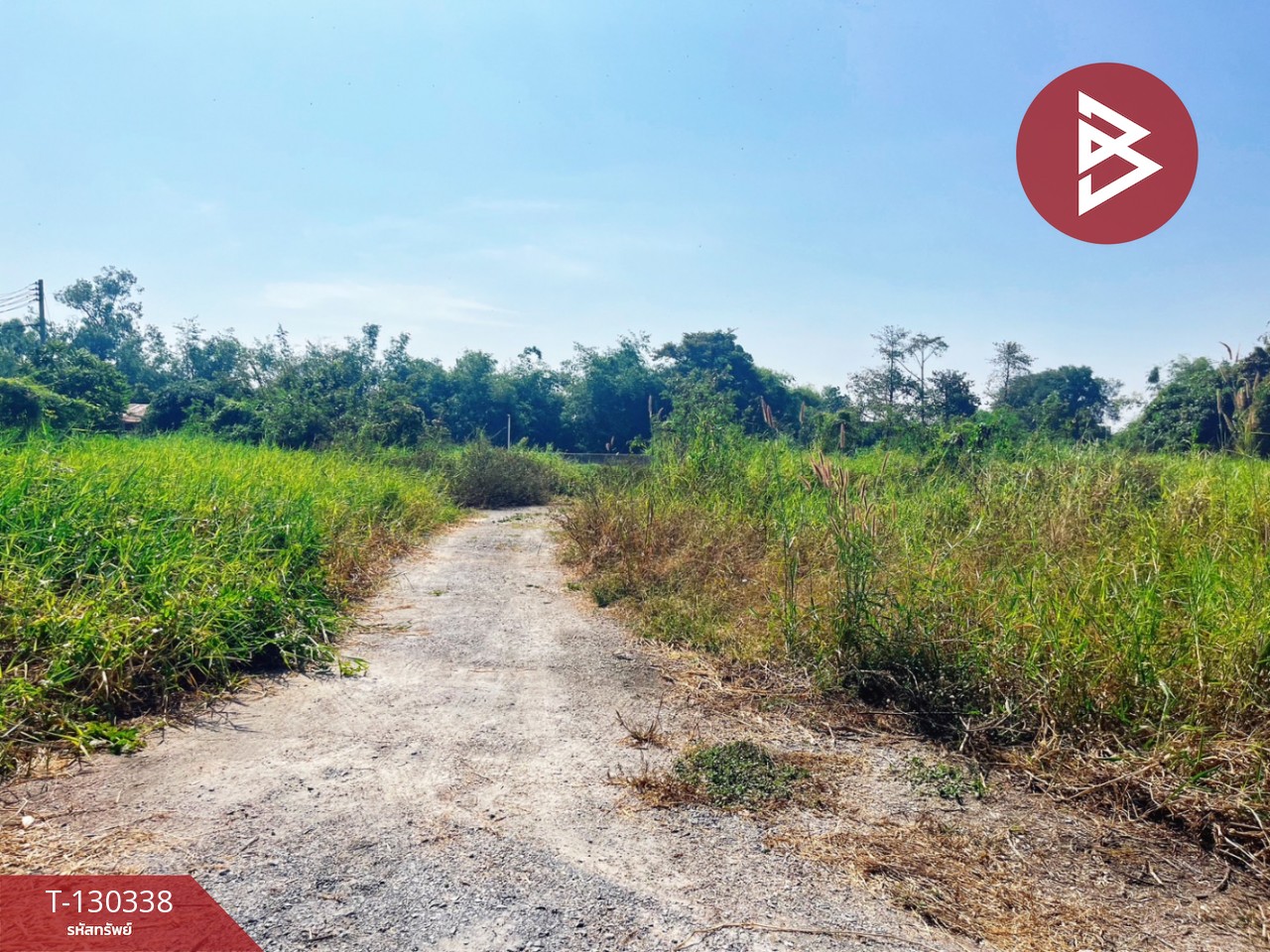 ขายที่ดิน เนื้อที่ 1 ไร่ 48 ตร.วา บางปลาม้า สุพรรณบุรี 7