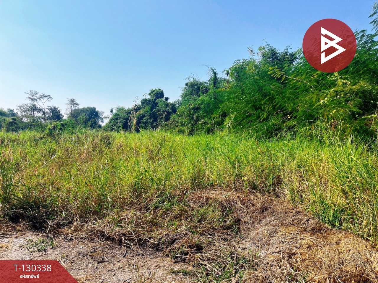 ขายที่ดิน เนื้อที่ 1 ไร่ 48 ตร.วา บางปลาม้า สุพรรณบุรี 6