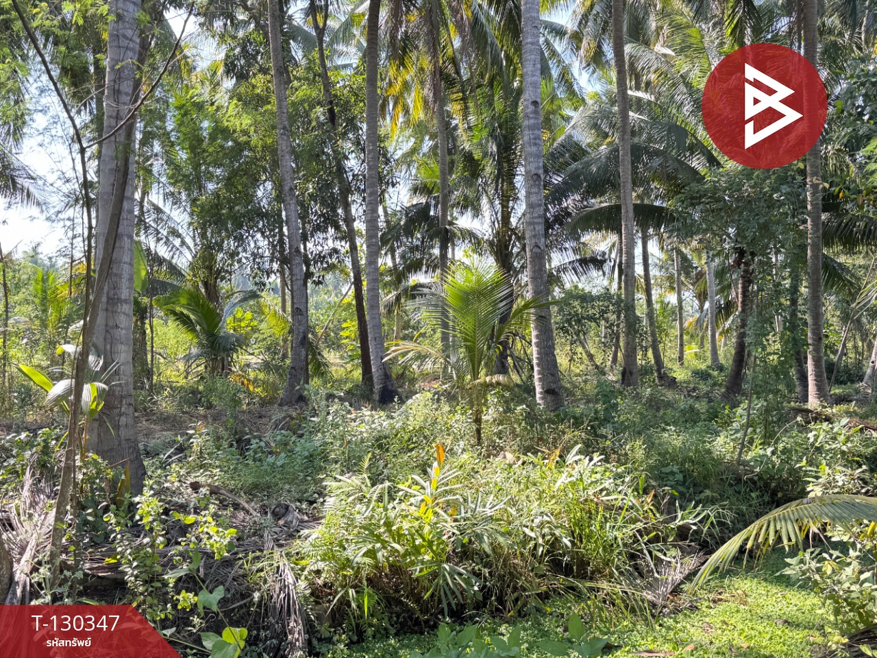 ขายที่ดิน เนื้อที่ 4 ไร่ 2 งาน 16 ตารางวา อ.อัมพวา สมุทรสงคราม 7