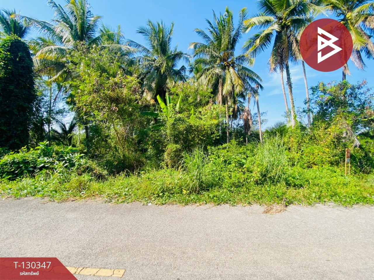 ขายที่ดิน เนื้อที่ 4 ไร่ 2 งาน 16 ตารางวา อ.อัมพวา สมุทรสงคราม 12