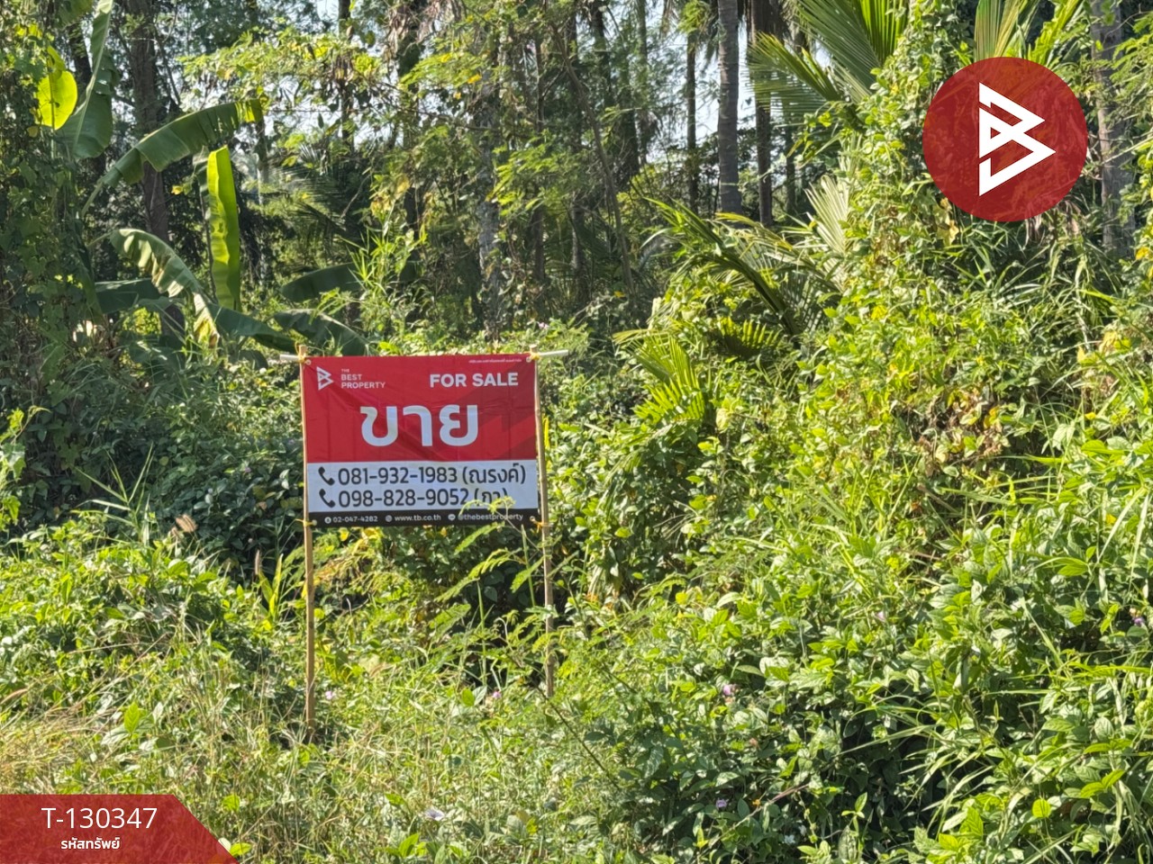 ขายที่ดิน เนื้อที่ 4 ไร่ 2 งาน 16 ตารางวา อ.อัมพวา สมุทรสงคราม 2