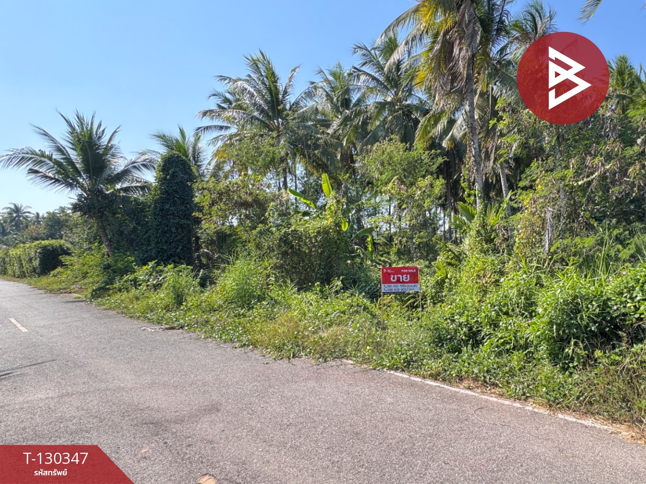 ขายที่ดิน เนื้อที่ 4 ไร่ 2 งาน 16 ตารางวา อ.อัมพวา สมุทรสงคราม 1