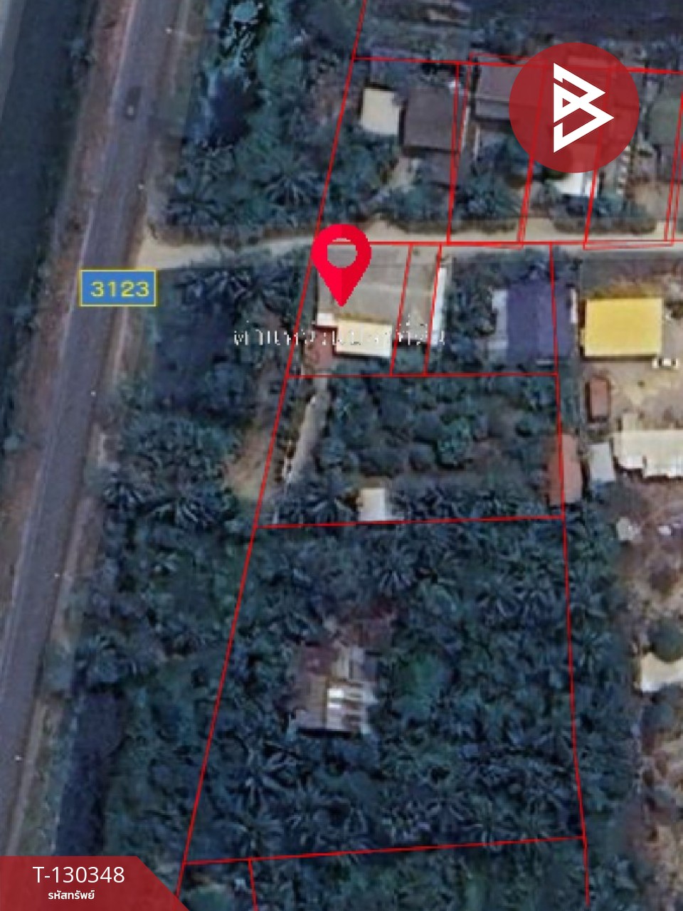 ขายบ้านเดี่ยวชั้นเดียวพร้อมสวนผลไม้ เนื้อที่ 1 ไร่ บ้านโป่ง ราชบุรี บรรยากาศบ้านสวน 15