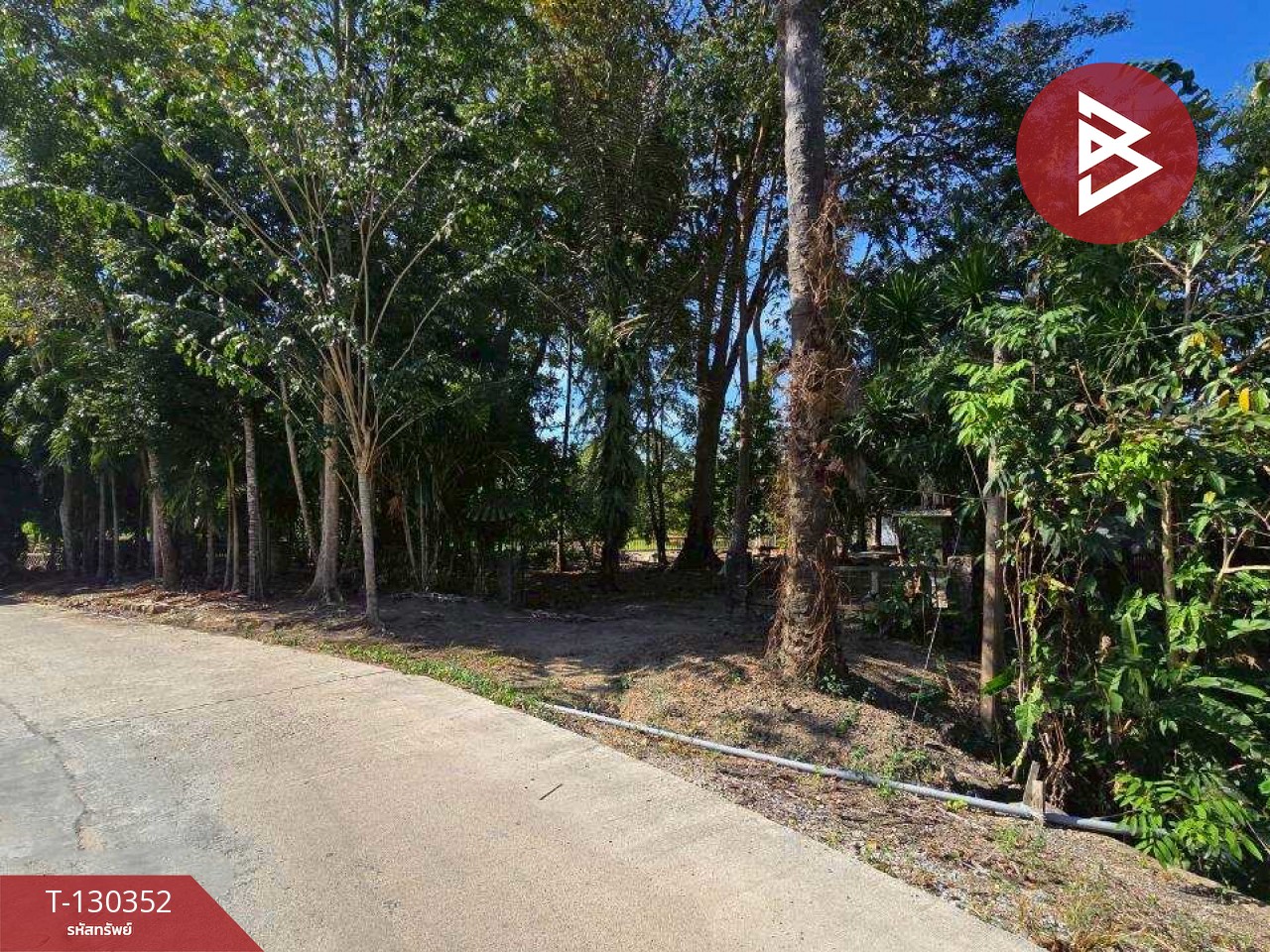 ขายที่ดิน เนื้อที่ 5 ไร่ 0.5 ตร.วา ท่าใหม่ จันทบุรี 1