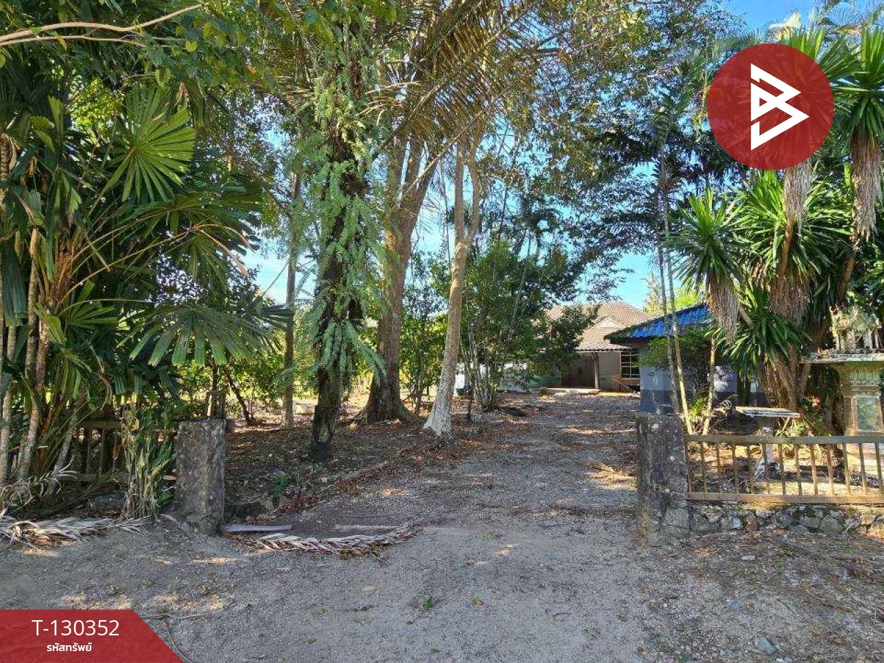 ขายที่ดิน เนื้อที่ 5 ไร่ 0.5 ตร.วา ท่าใหม่ จันทบุรี 12