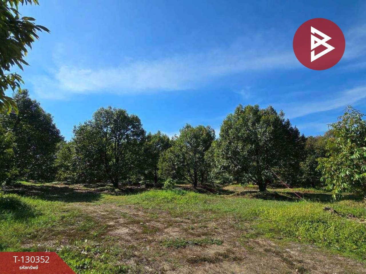 ขายที่ดิน เนื้อที่ 5 ไร่ 0.5 ตร.วา ท่าใหม่ จันทบุรี 7