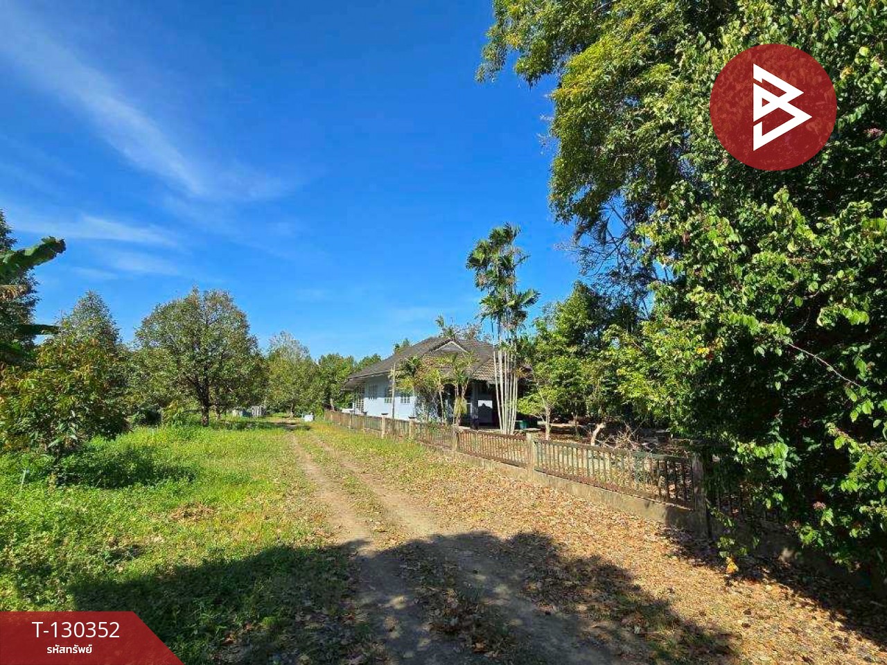 ขายที่ดิน เนื้อที่ 5 ไร่ 0.5 ตร.วา ท่าใหม่ จันทบุรี 11