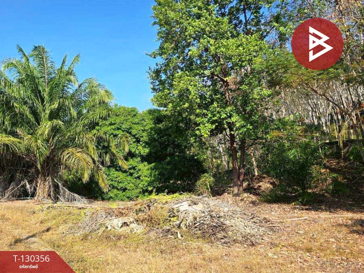 ขายที่ดินพร้อมสิ่งปลูกสร้าง เนื้อที่ 9 ไร่ 86 ตร.วา ท่าใหม่ จันทบุรี 13