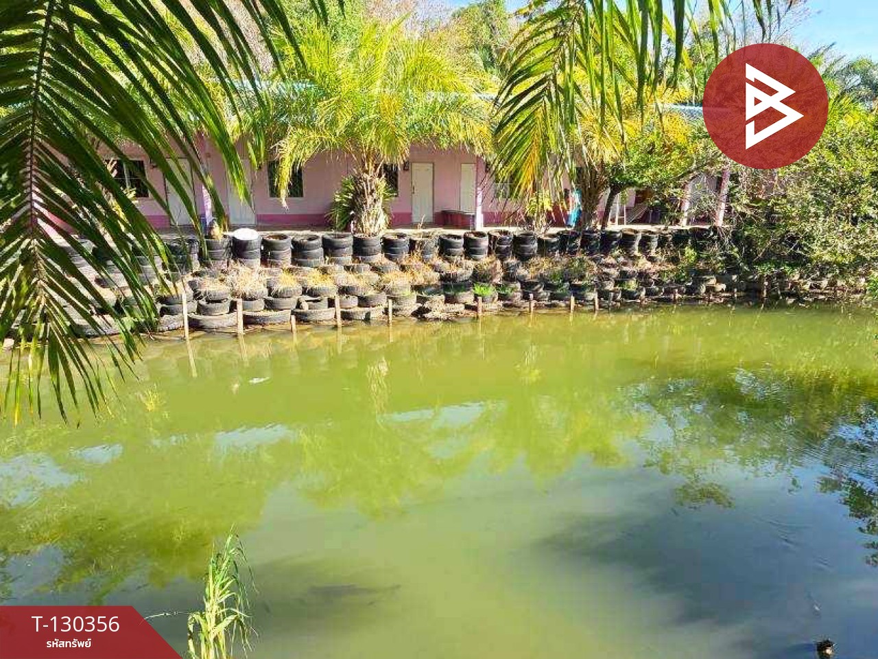 ขายที่ดินพร้อมสิ่งปลูกสร้าง เนื้อที่ 9 ไร่ 86 ตร.วา ท่าใหม่ จันทบุรี 3