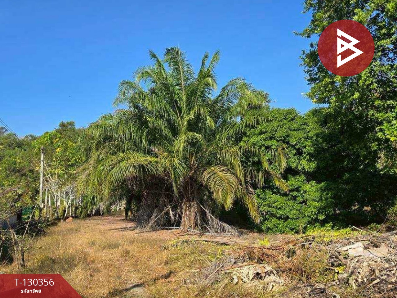 ขายที่ดินพร้อมสิ่งปลูกสร้าง เนื้อที่ 9 ไร่ 86 ตร.วา ท่าใหม่ จันทบุรี 5