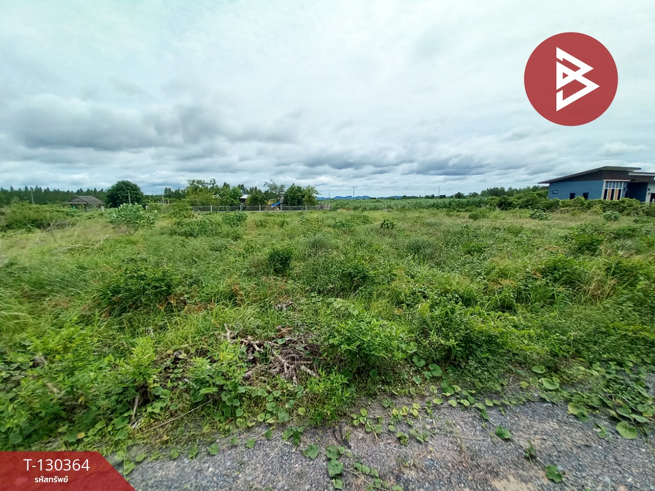 ขายที่ดิน เนื้อที่ 2 งาน 9 ตร.วา ท่าม่วง กาญจนบุรี 11