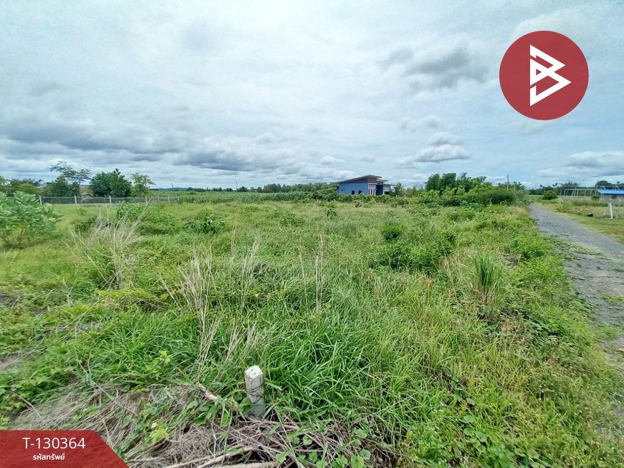 ขายที่ดิน เนื้อที่ 2 งาน 9 ตร.วา ท่าม่วง กาญจนบุรี 6