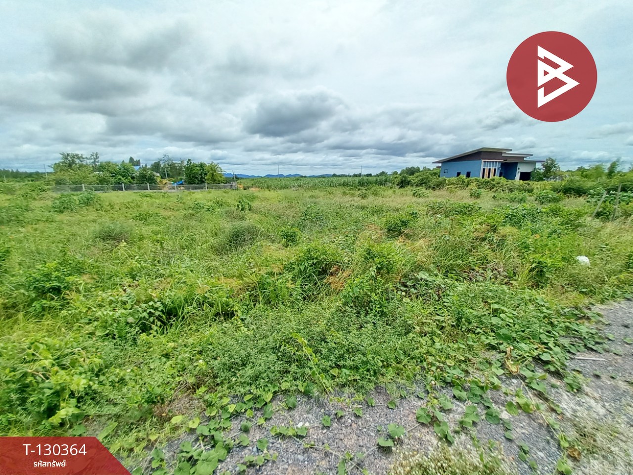 ขายที่ดิน เนื้อที่ 2 งาน 9 ตร.วา ท่าม่วง กาญจนบุรี 7