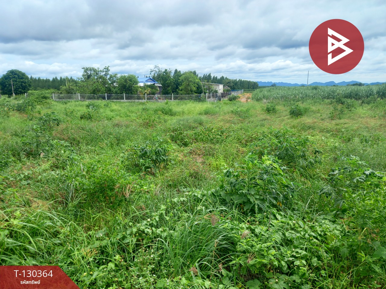 ขายที่ดิน เนื้อที่ 2 งาน 9 ตร.วา ท่าม่วง กาญจนบุรี 14