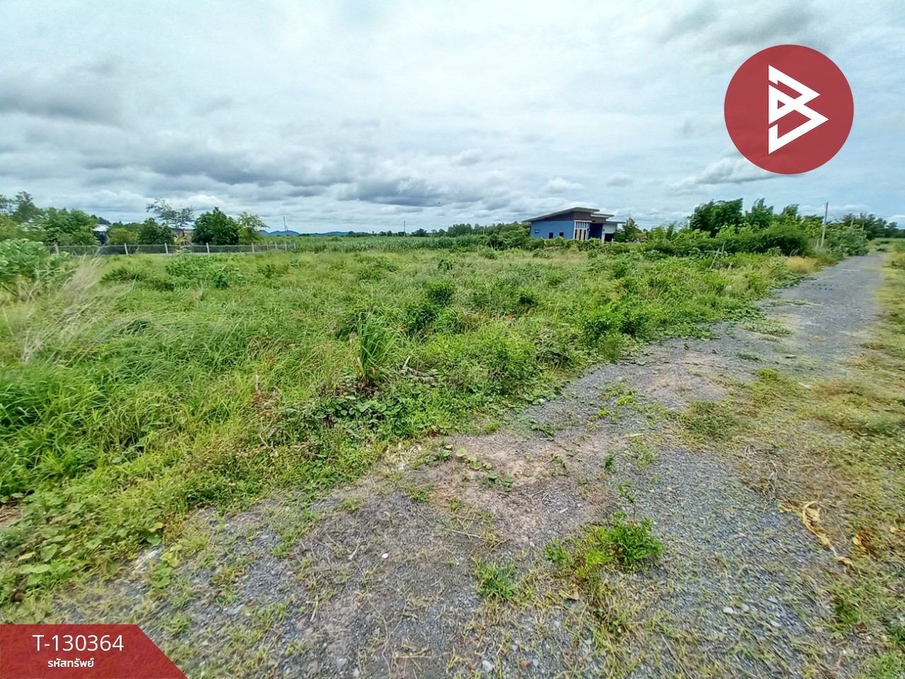 ขายที่ดิน เนื้อที่ 2 งาน 9 ตร.วา ท่าม่วง กาญจนบุรี 4