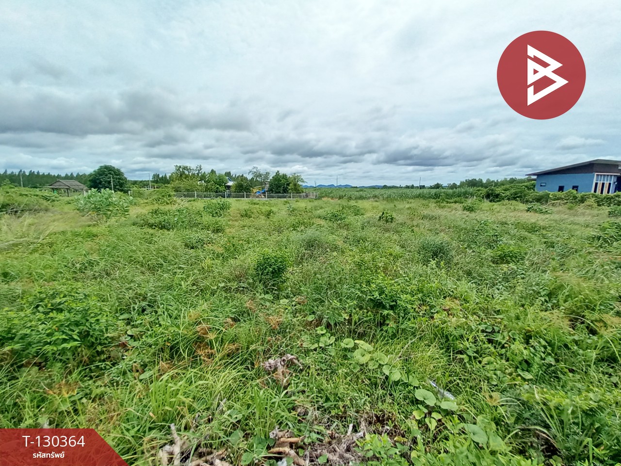 ขายที่ดิน เนื้อที่ 2 งาน 9 ตร.วา ท่าม่วง กาญจนบุรี 1