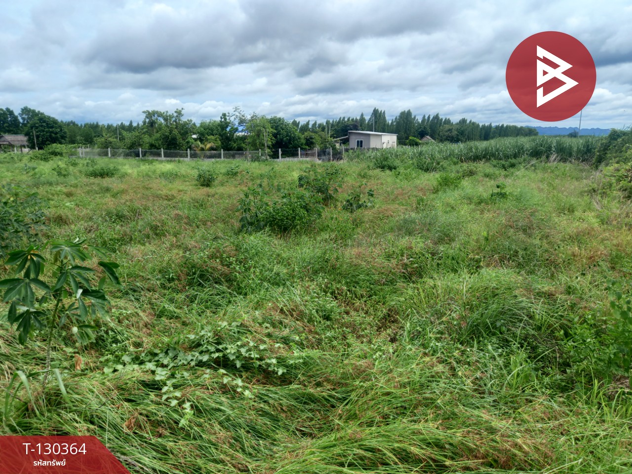 ขายที่ดิน เนื้อที่ 2 งาน 9 ตร.วา ท่าม่วง กาญจนบุรี 15