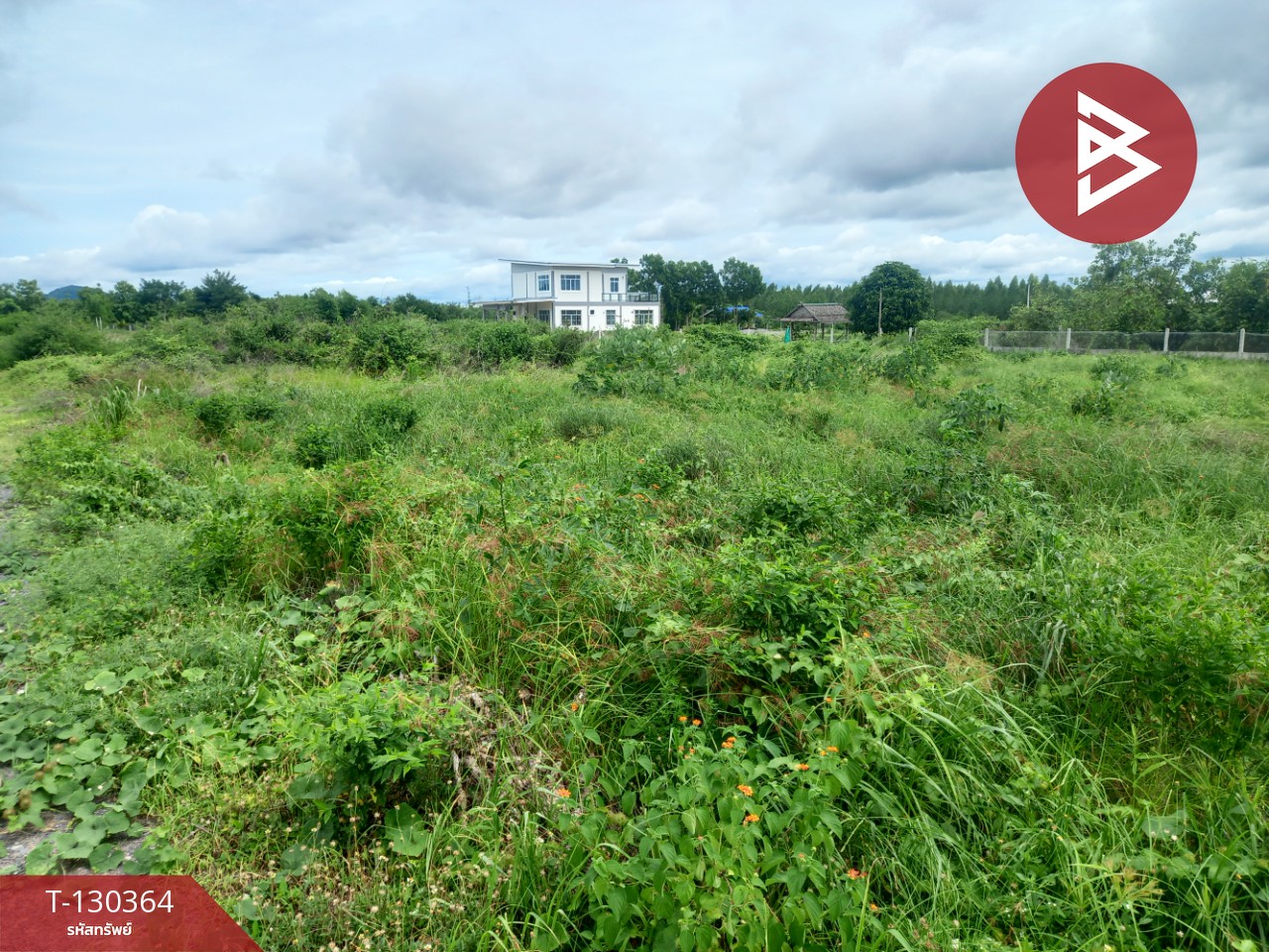 ขายที่ดิน เนื้อที่ 2 งาน 9 ตร.วา ท่าม่วง กาญจนบุรี 13