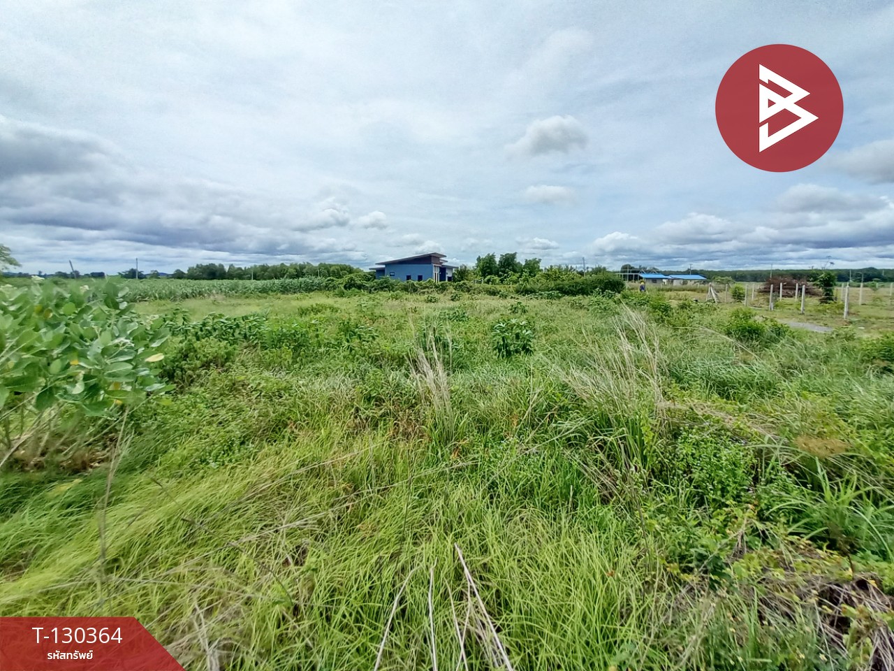 ขายที่ดิน เนื้อที่ 2 งาน 9 ตร.วา ท่าม่วง กาญจนบุรี 5