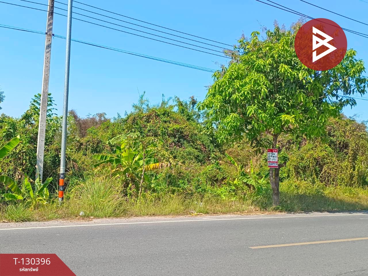 ขายที่ดินสวย 13 ไร่ 3 งาน 61.4 ตารางวา เขาพระ นครนายก ทำเลทองใกล้ชิดธรรมชาติ 2