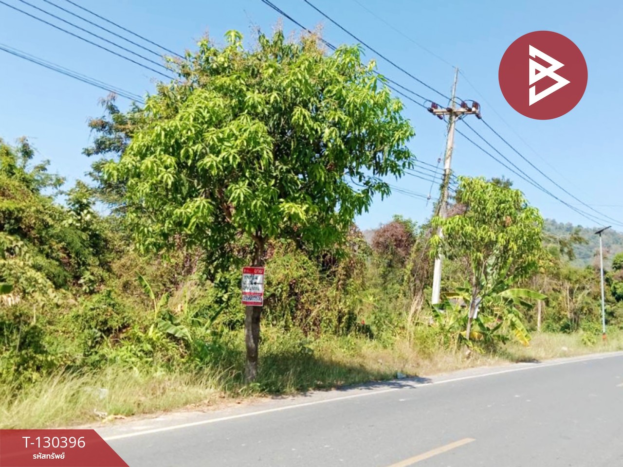 ขายที่ดินสวย 13 ไร่ 3 งาน 61.4 ตารางวา เขาพระ นครนายก ทำเลทองใกล้ชิดธรรมชาติ 4