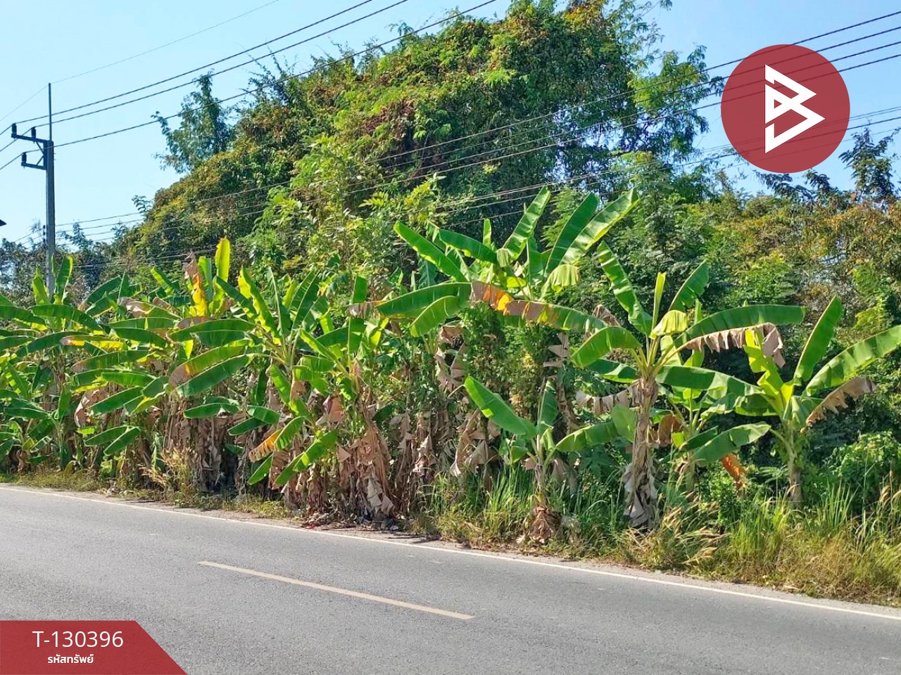 ขายที่ดินสวย 13 ไร่ 3 งาน 61.4 ตารางวา เขาพระ นครนายก ทำเลทองใกล้ชิดธรรมชาติ 5