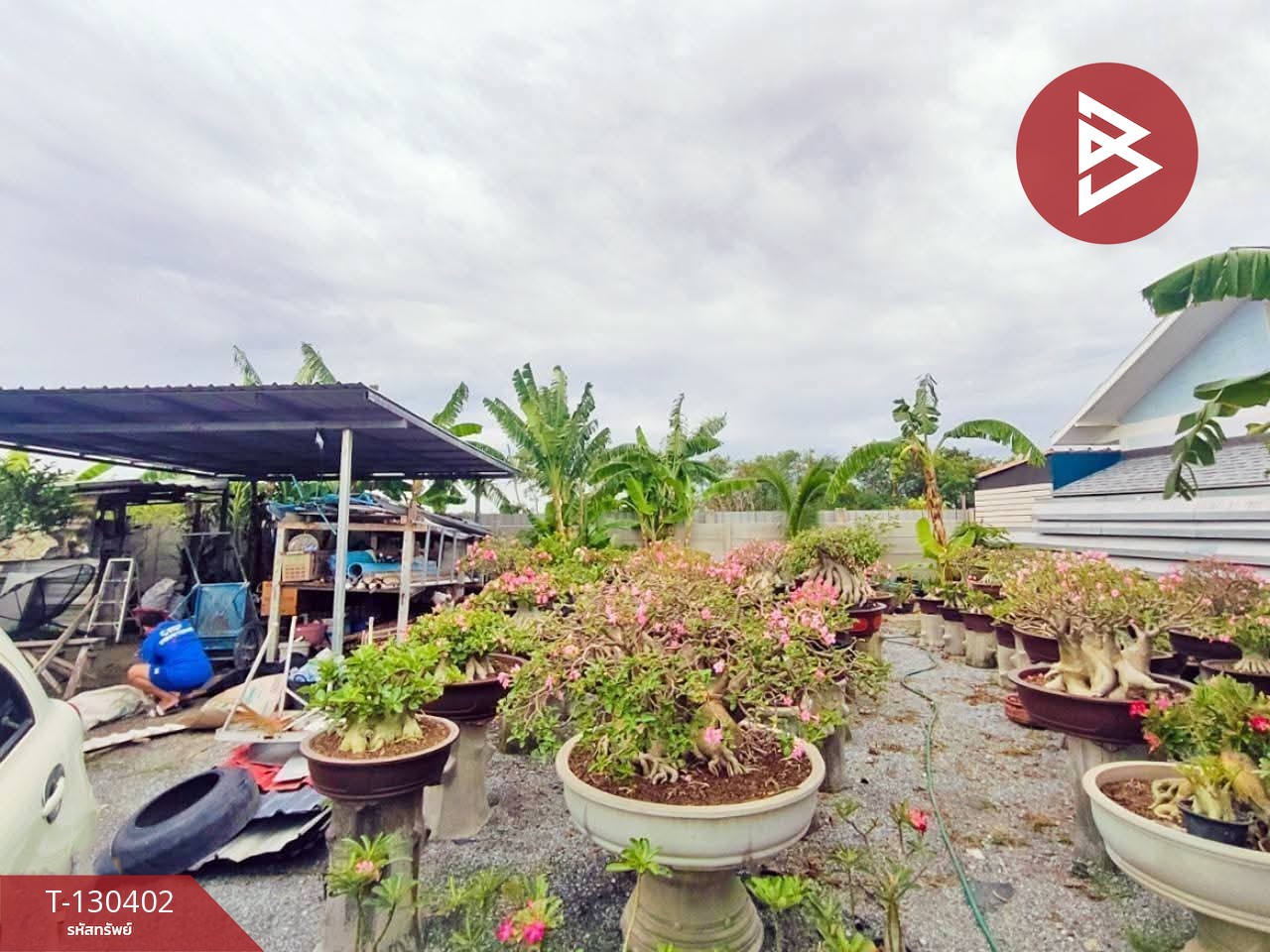 ขายที่ดิน เนื้อที่ 1 งาน บางปะกง ฉะเชิงเทรา 7