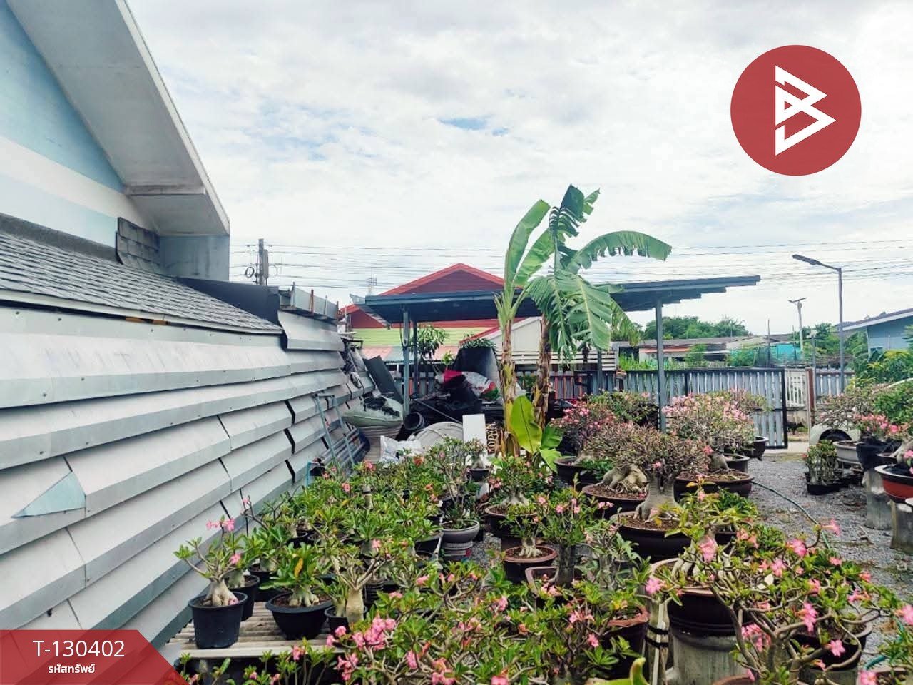 ขายที่ดิน เนื้อที่ 1 งาน บางปะกง ฉะเชิงเทรา 8