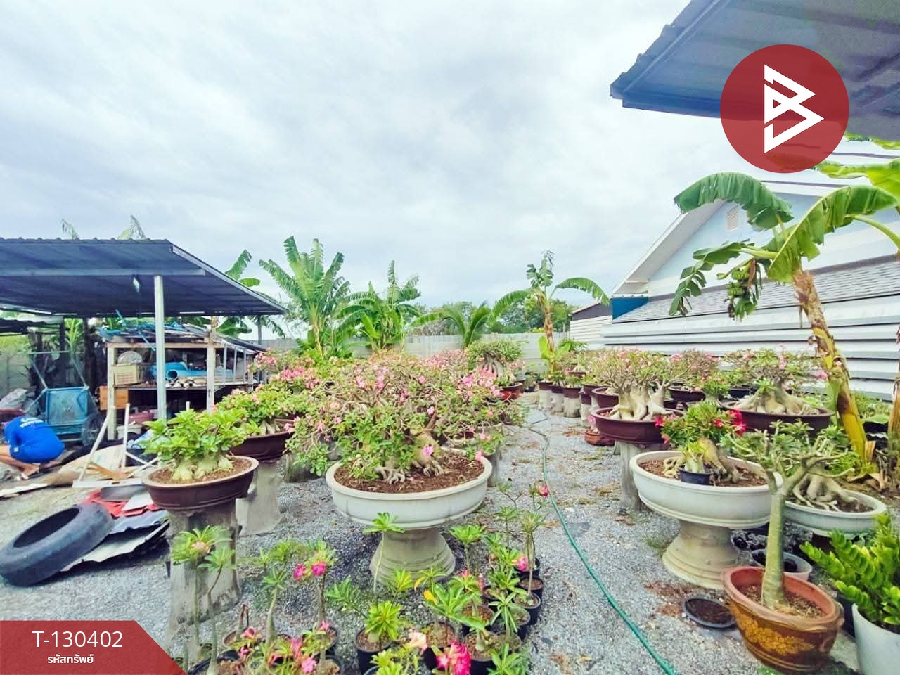 ขายที่ดิน เนื้อที่ 1 งาน บางปะกง ฉะเชิงเทรา 11