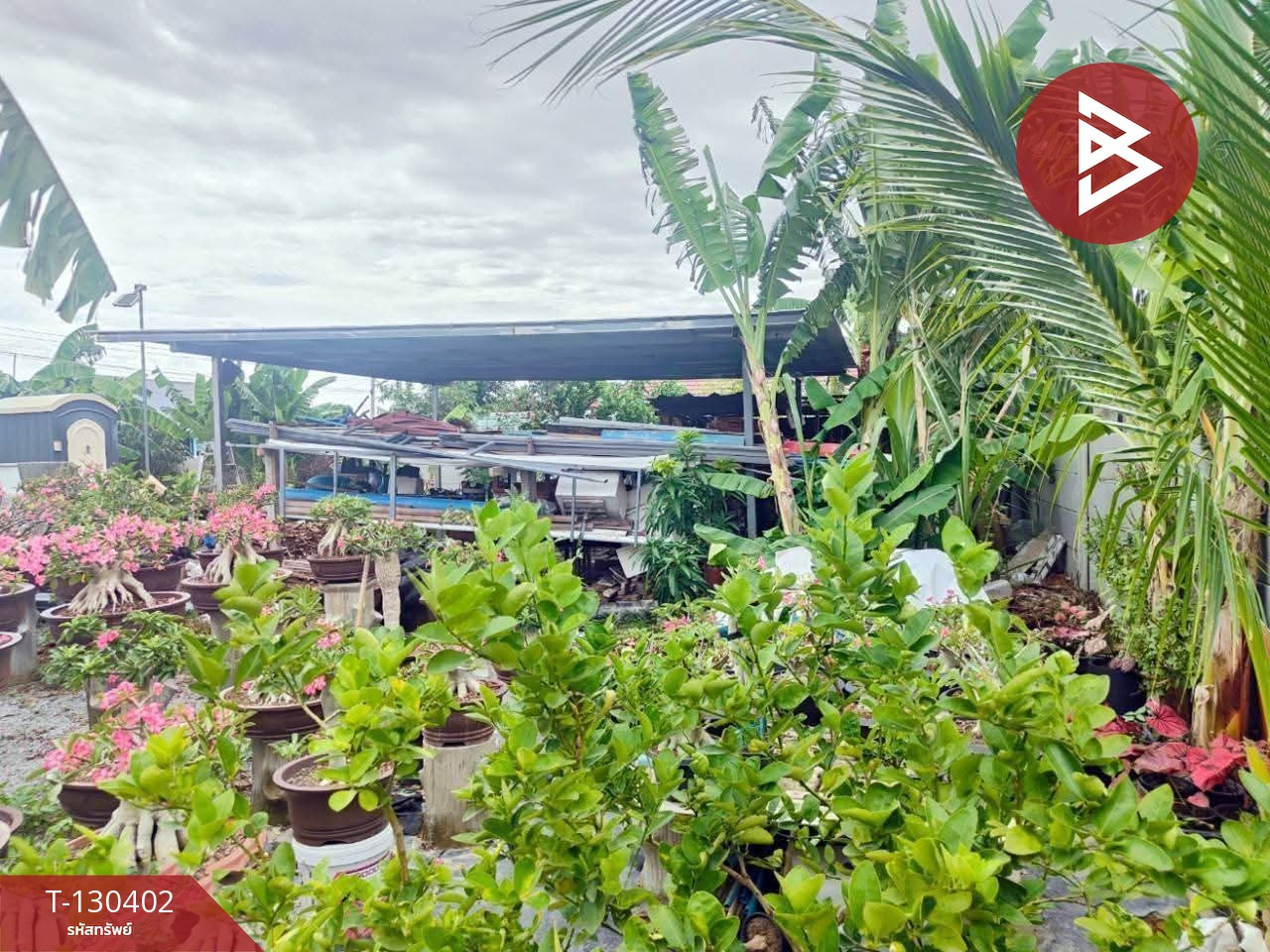 ขายที่ดิน เนื้อที่ 1 งาน บางปะกง ฉะเชิงเทรา 13