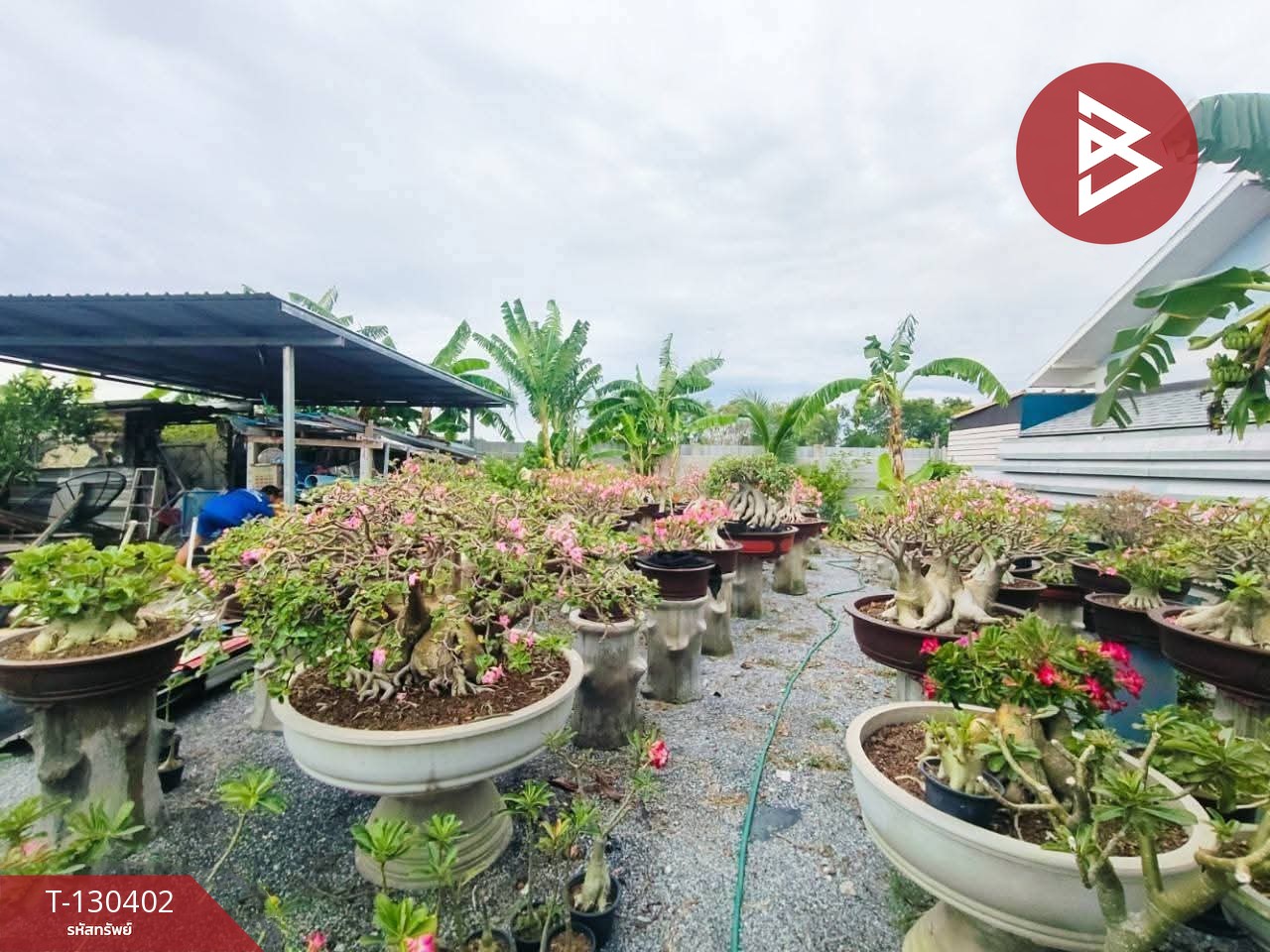 ขายที่ดิน เนื้อที่ 1 งาน บางปะกง ฉะเชิงเทรา 10