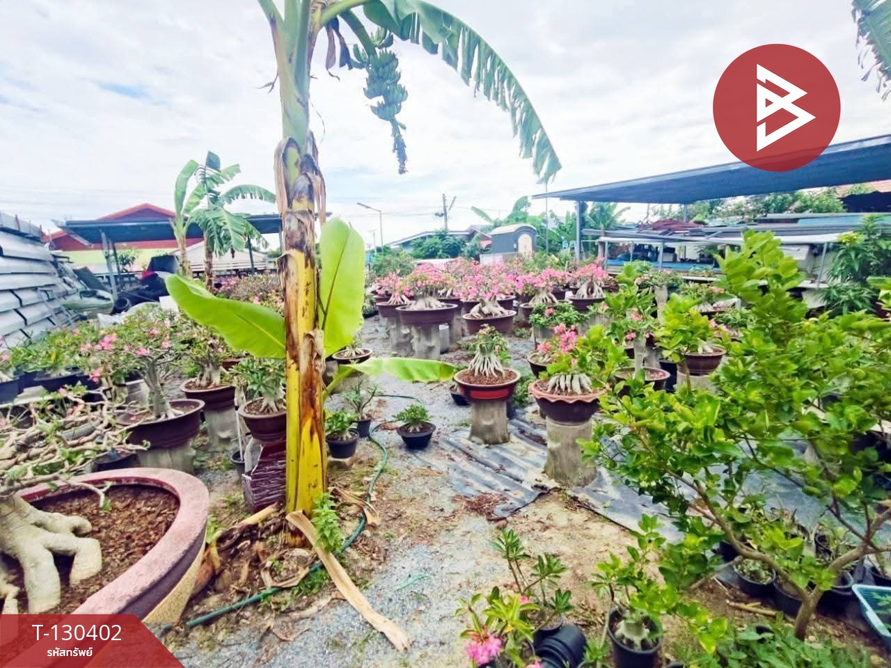 ขายที่ดิน เนื้อที่ 1 งาน บางปะกง ฉะเชิงเทรา 9