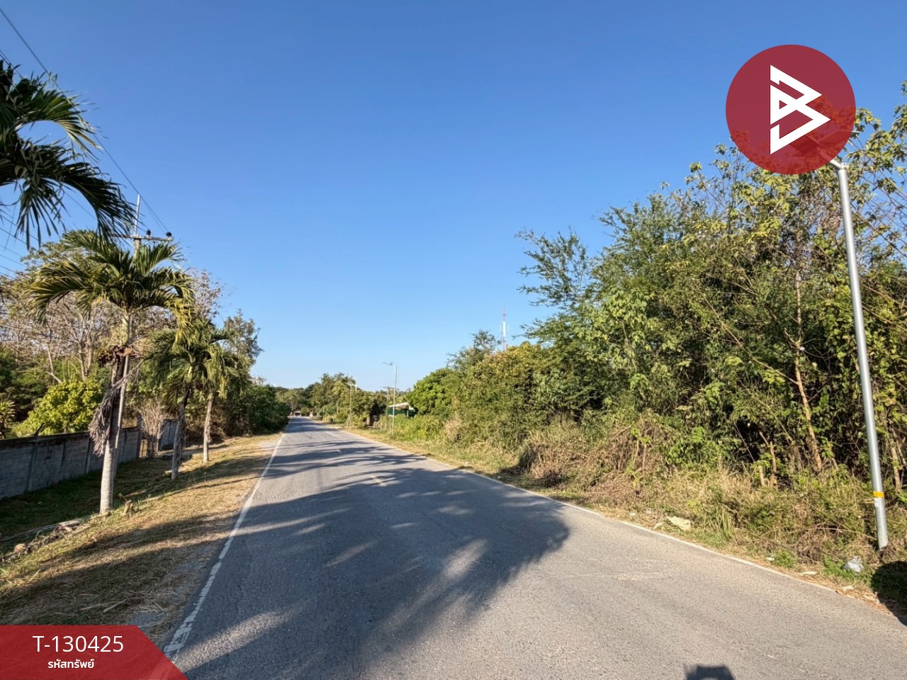 ขายที่ดิน เนื้อที่ 2 ไร่ ปากช่อง นครราชสีมา 10