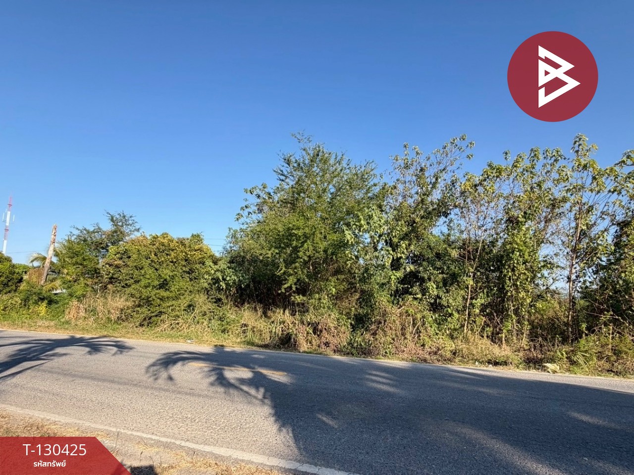 ขายที่ดิน เนื้อที่ 2 ไร่ ปากช่อง นครราชสีมา 9