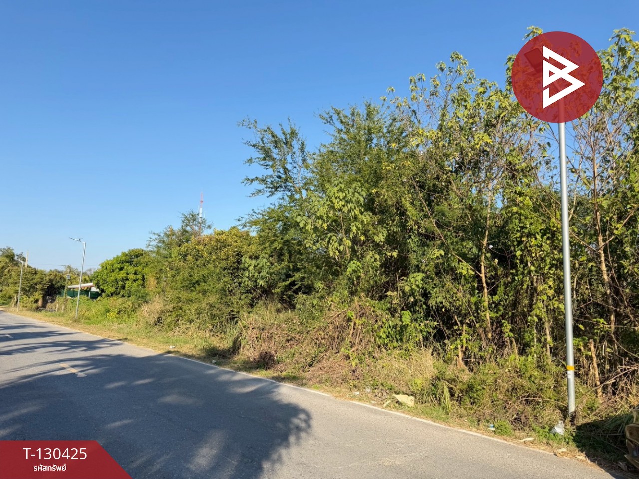 ขายที่ดิน เนื้อที่ 2 ไร่ ปากช่อง นครราชสีมา 11