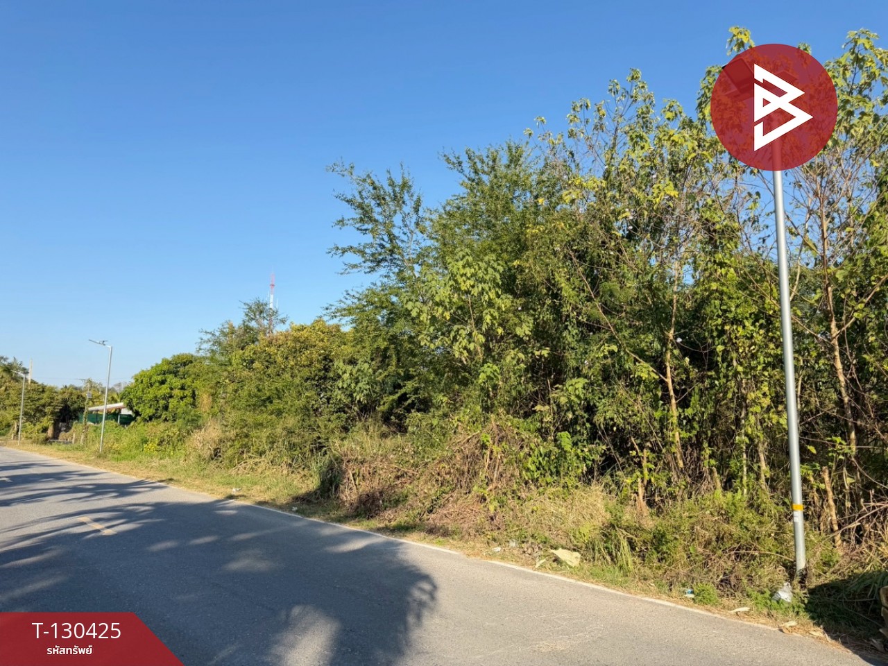 ขายที่ดิน เนื้อที่ 2 ไร่ ปากช่อง นครราชสีมา 5