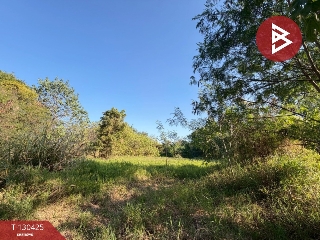 ขายที่ดิน เนื้อที่ 2 ไร่ ปากช่อง นครราชสีมา 1