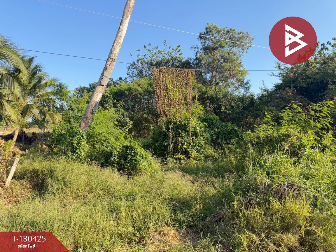 ขายที่ดิน เนื้อที่ 2 ไร่ ปากช่อง นครราชสีมา 2