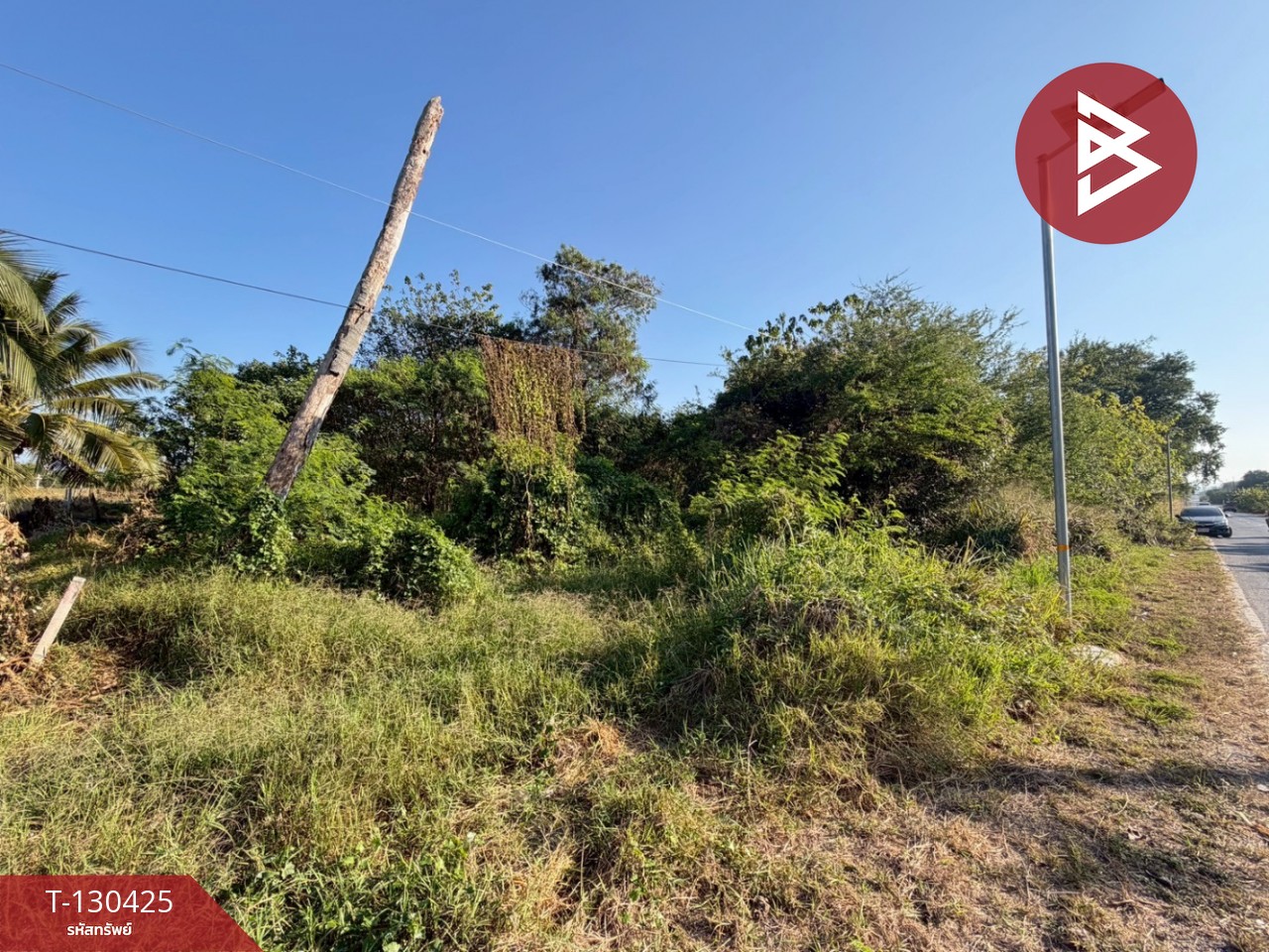 ขายที่ดิน เนื้อที่ 2 ไร่ ปากช่อง นครราชสีมา 3