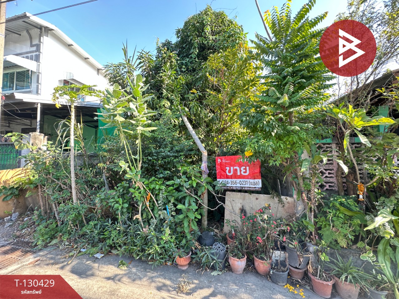 ขายที่ดิน เนื้อที่ 43.5 ตร.วา ลำลูกกา ปทุมธานี 1