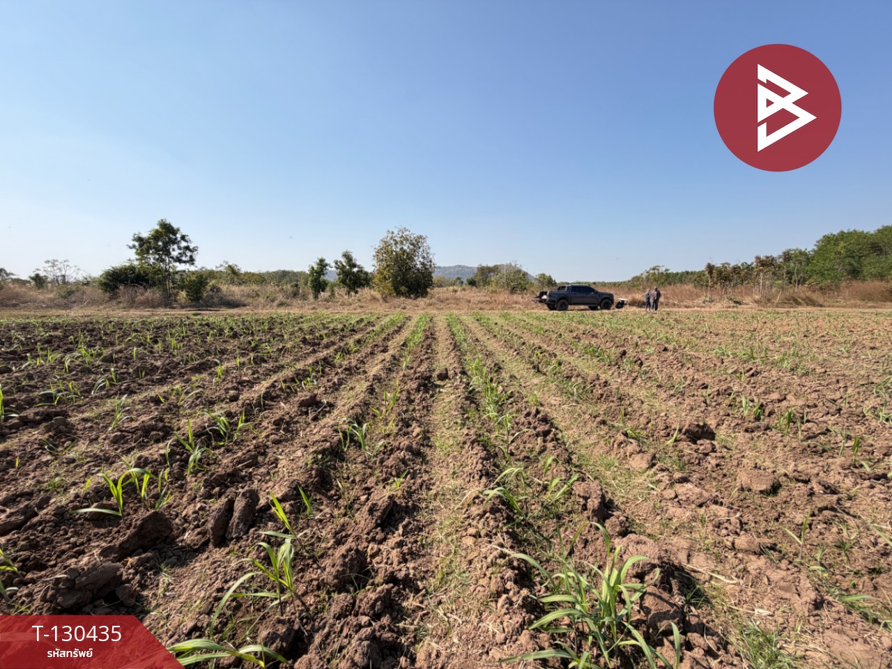 ขายที่ดินแปลงสวย เนื้อที่ 9 ไร่ 1 งาน 6 ตารางวา อ.ตาคลี นครสวรรค์ บรรยากาศธรรมชาติ 9