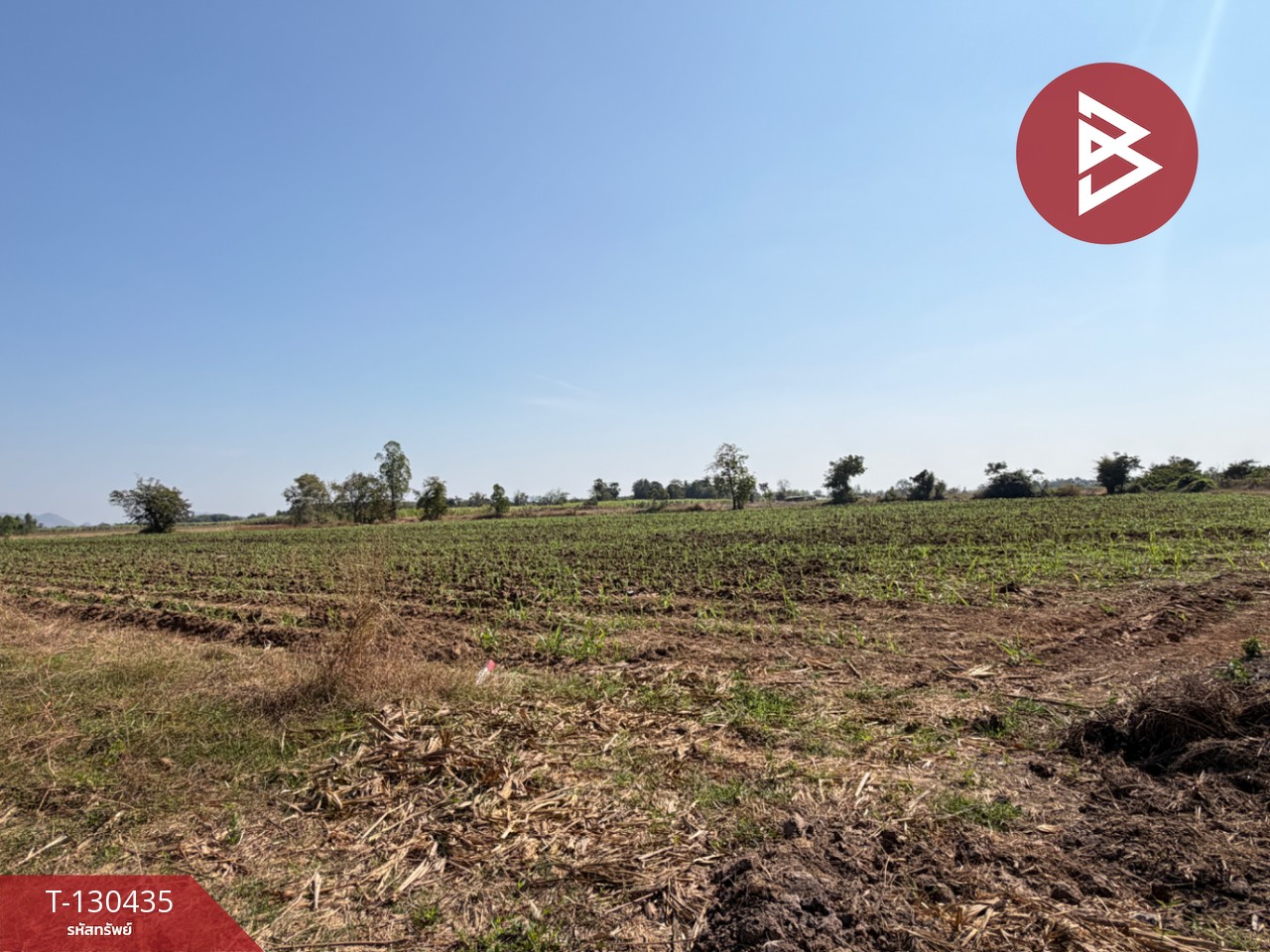 ขายที่ดินแปลงสวย เนื้อที่ 9 ไร่ 1 งาน 6 ตารางวา อ.ตาคลี นครสวรรค์ บรรยากาศธรรมชาติ 2